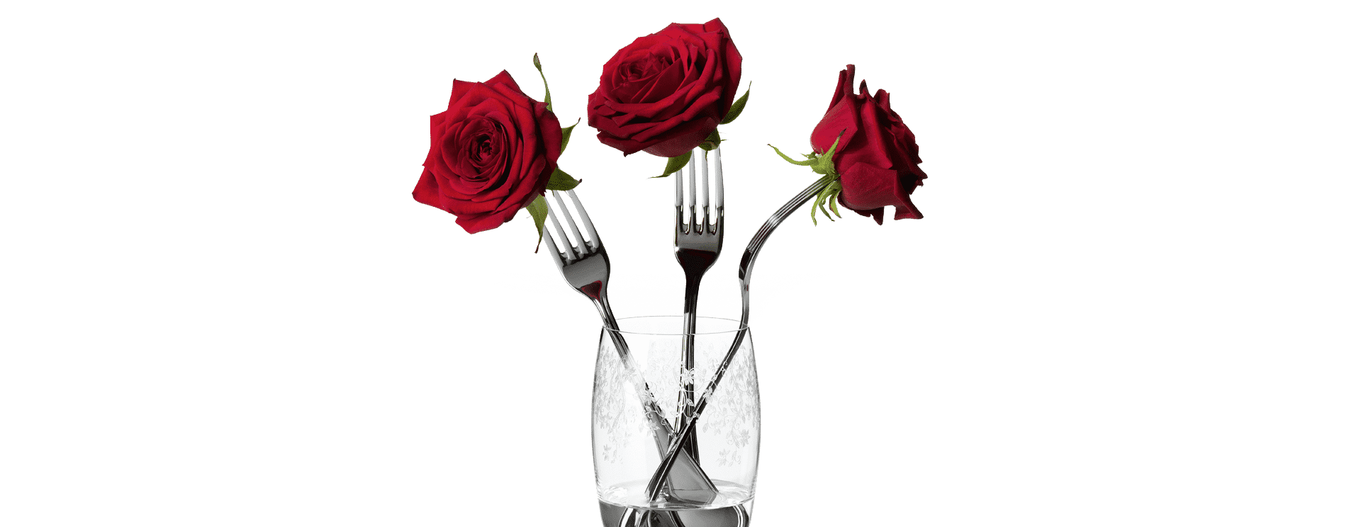 rosas horquilla MEIKO rosas bifurcadas