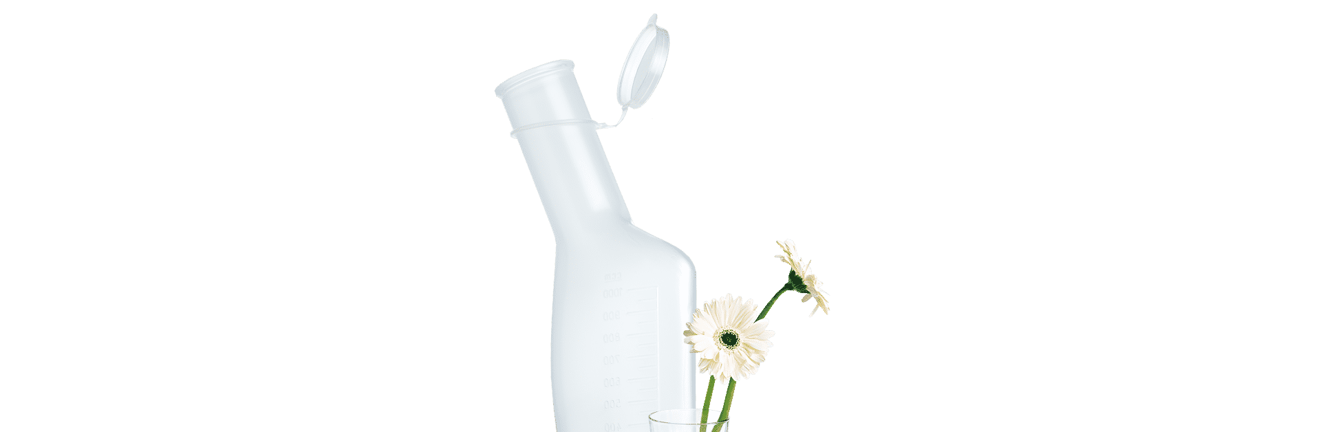 Urinflasche Blumen im Glas Blumen und Urinflasche