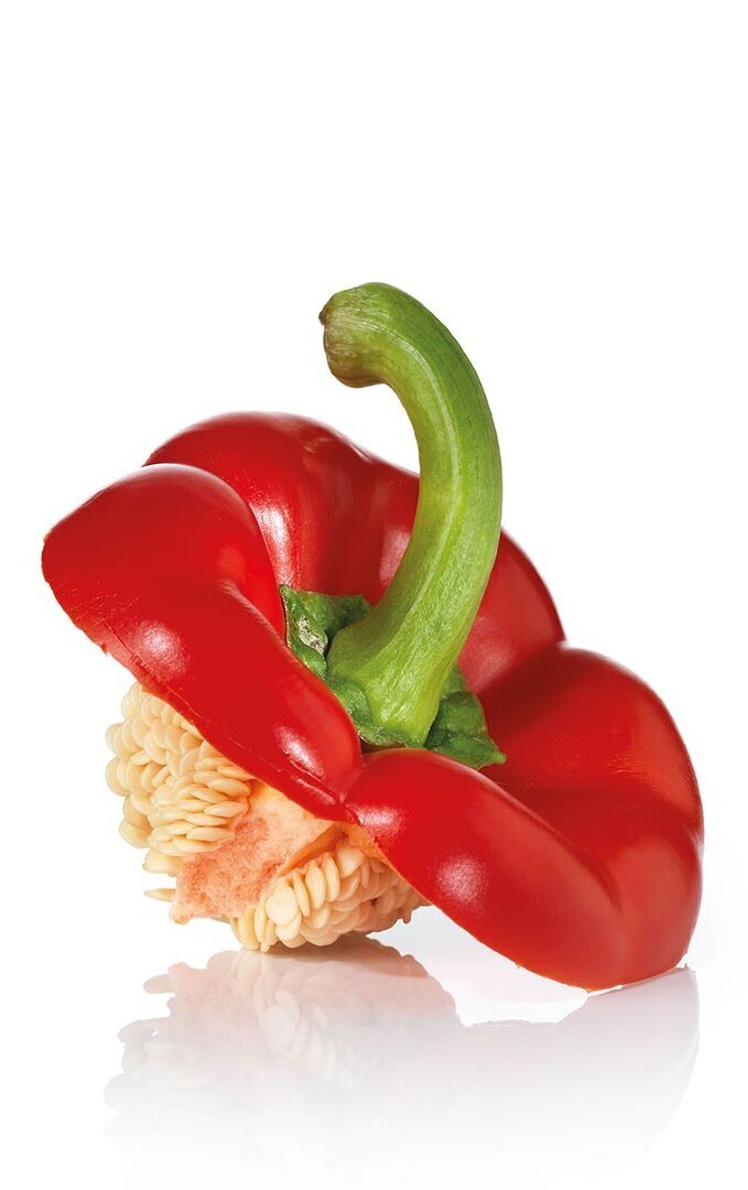 WasteStar Paprika 2013 Paprika WasteStar