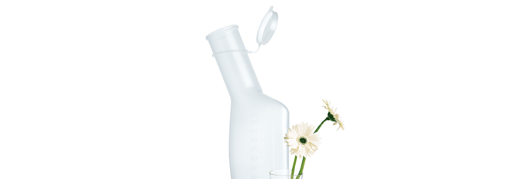 Urine bottle flowers in the glass Urine bottle flower