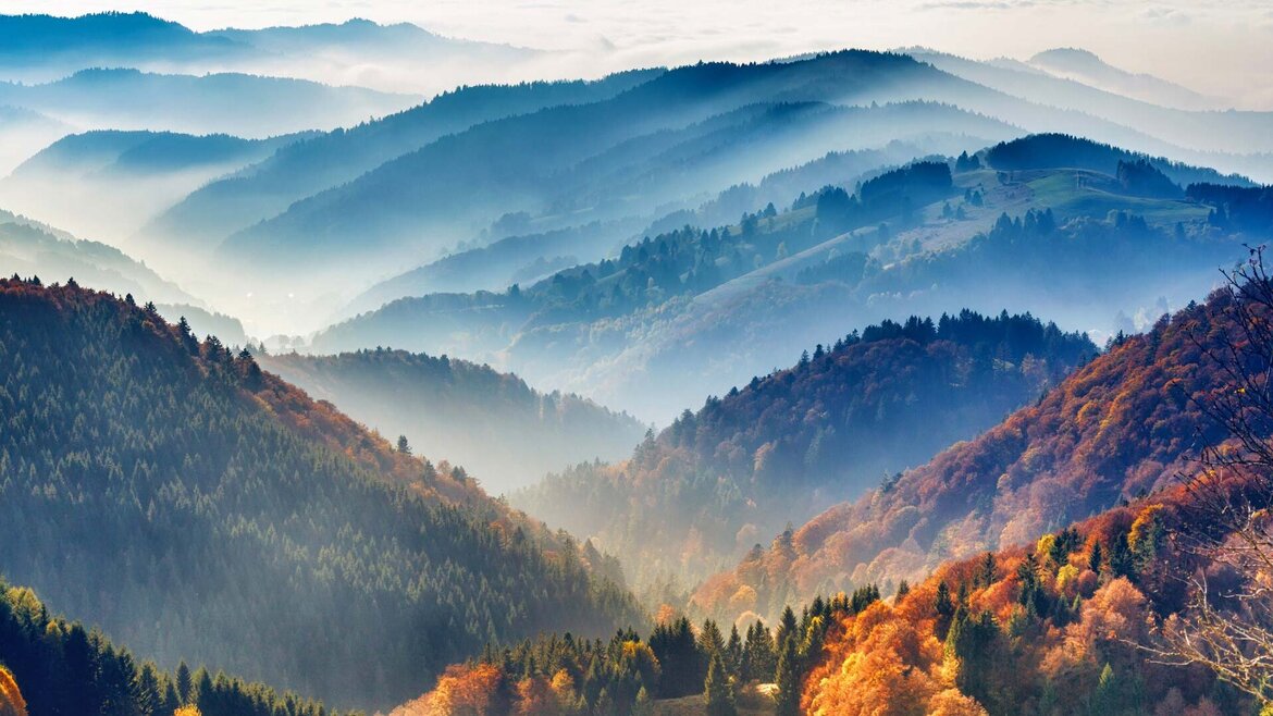 Schwarzwald Der Schwarzwald, Heimat des Black Forest Single Malt Whisky