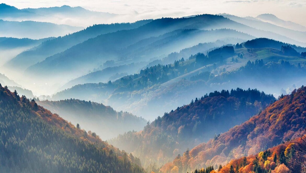 Black Forest The Black Forest, home of Rothaus Single Malt Whisky