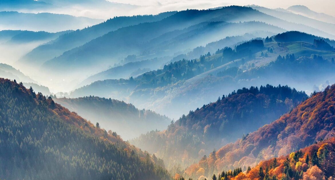 Black Forest The Black Forest, home of Rothaus Single Malt Whisky