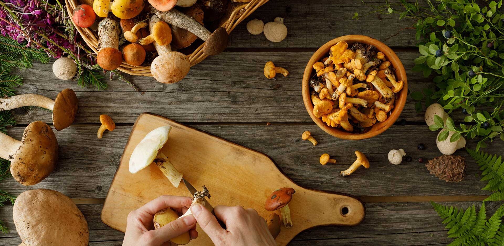 Frisch gesammelte Pilze und Kräuter auf einem Schneidebrett Frisch gesammelte Pilze und Kräuter werden auf einem Schneidebrett zubereitet