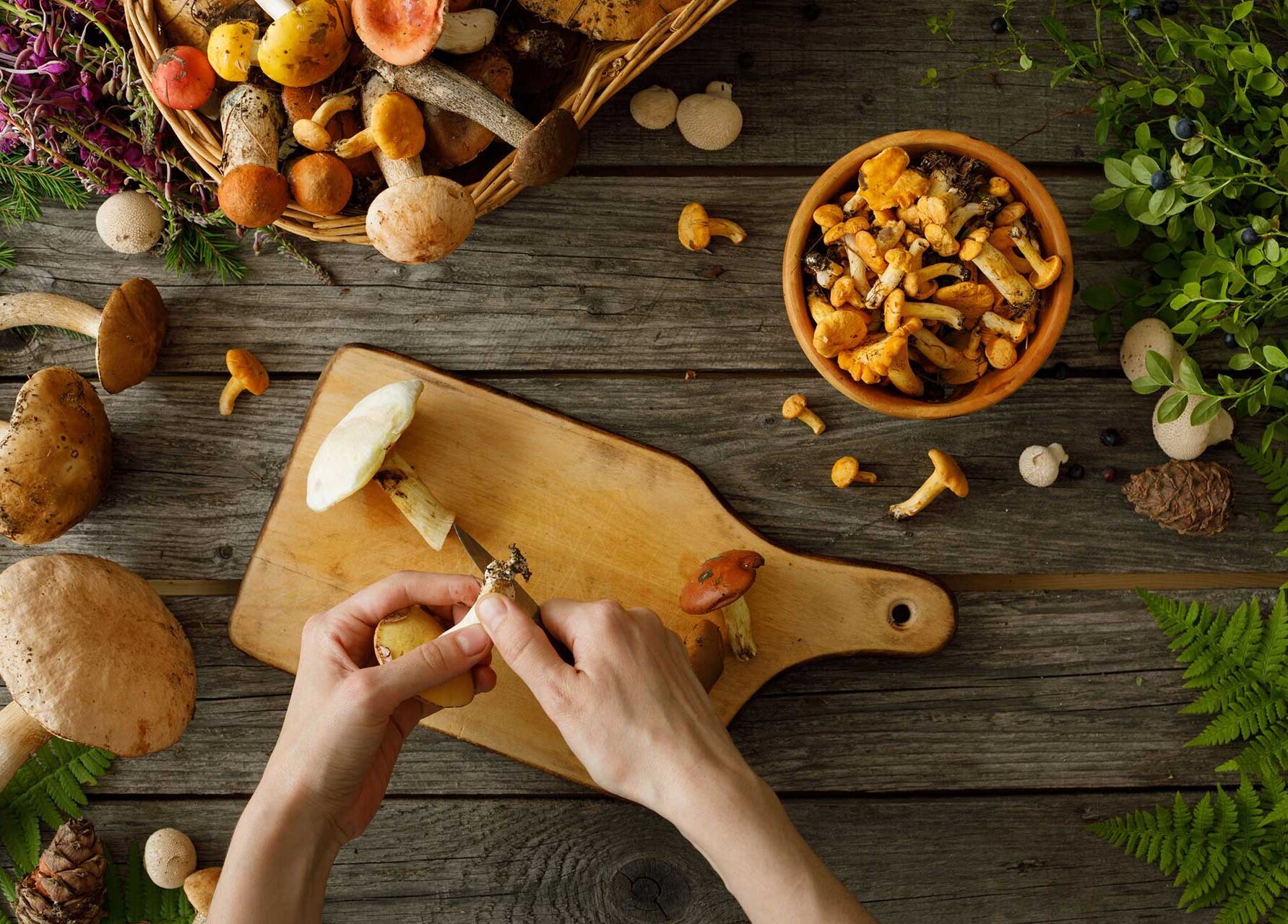Freshly picked mushrooms and herbs on a chopping board Freshly picked mushrooms and herbs on a chopping board
