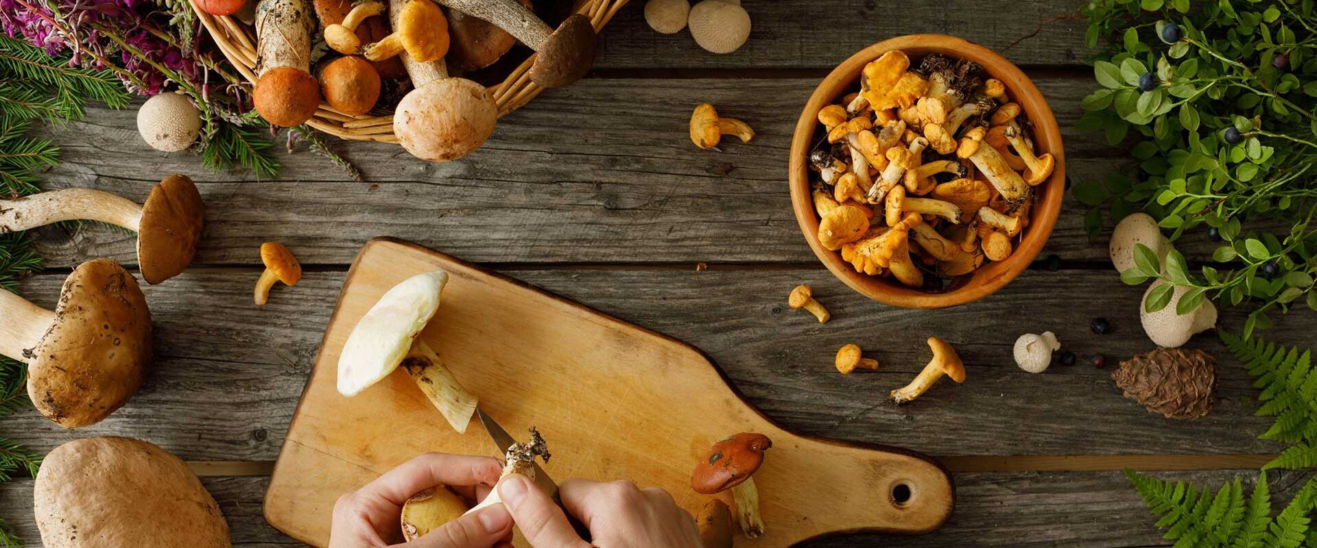 Freshly picked mushrooms and herbs on a chopping board Freshly picked mushrooms and herbs on a chopping board