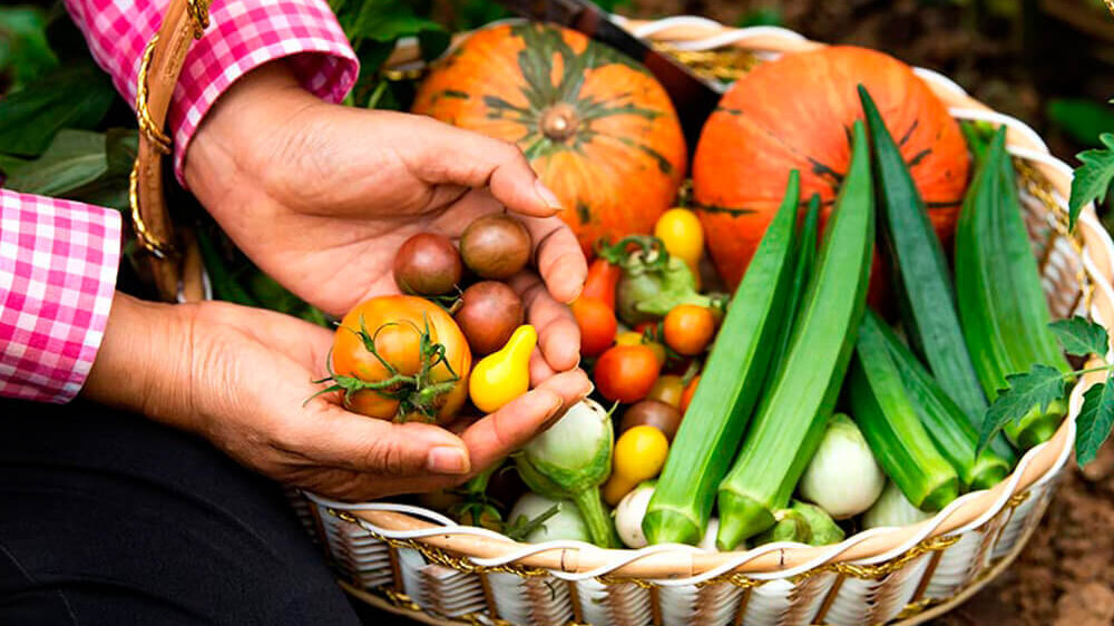 Impieghi verdi - Agricoltura Agricoltura