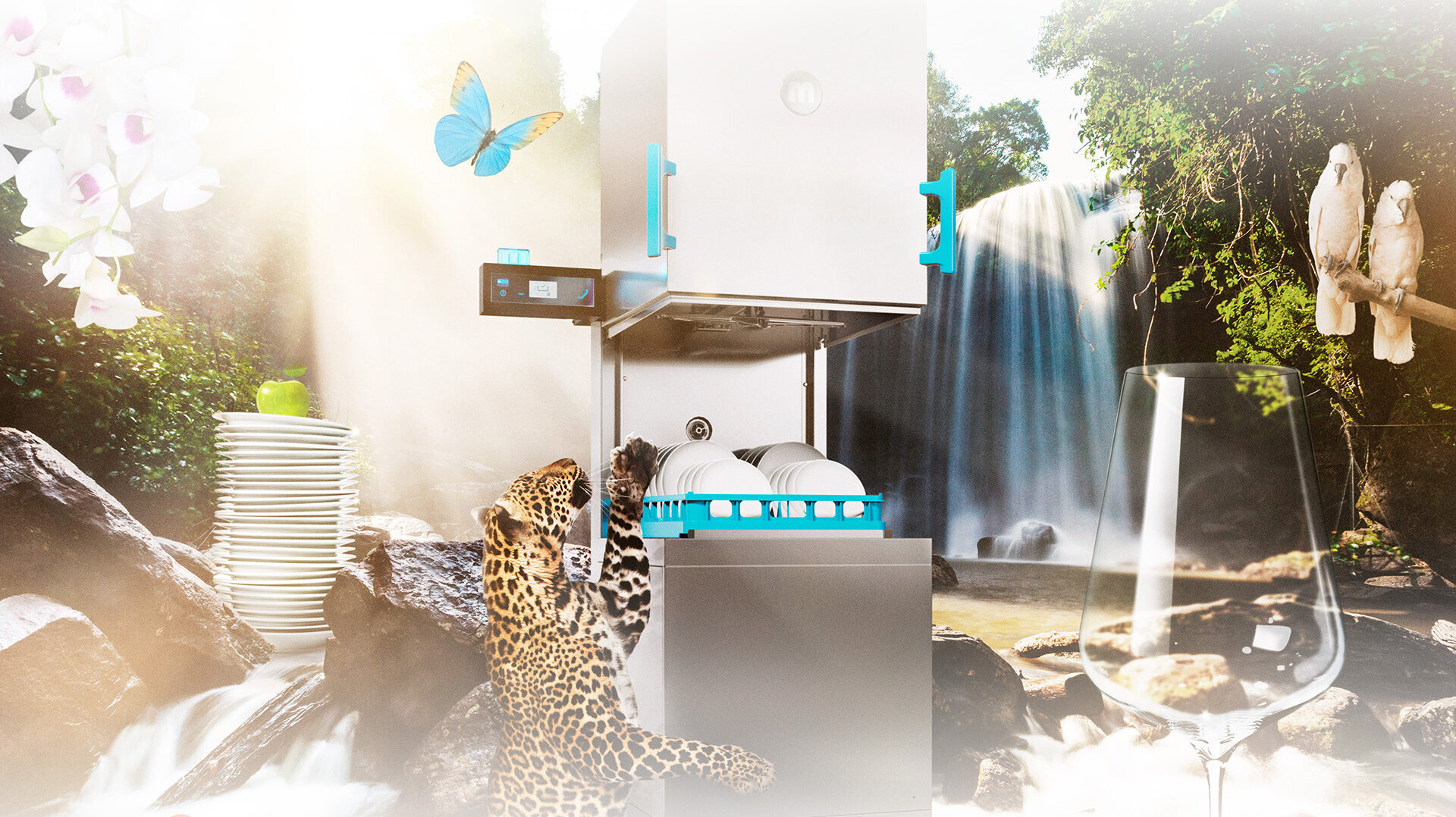 Paradise of dishwashing M-iClean