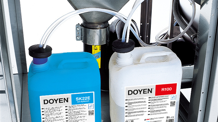 Doyen