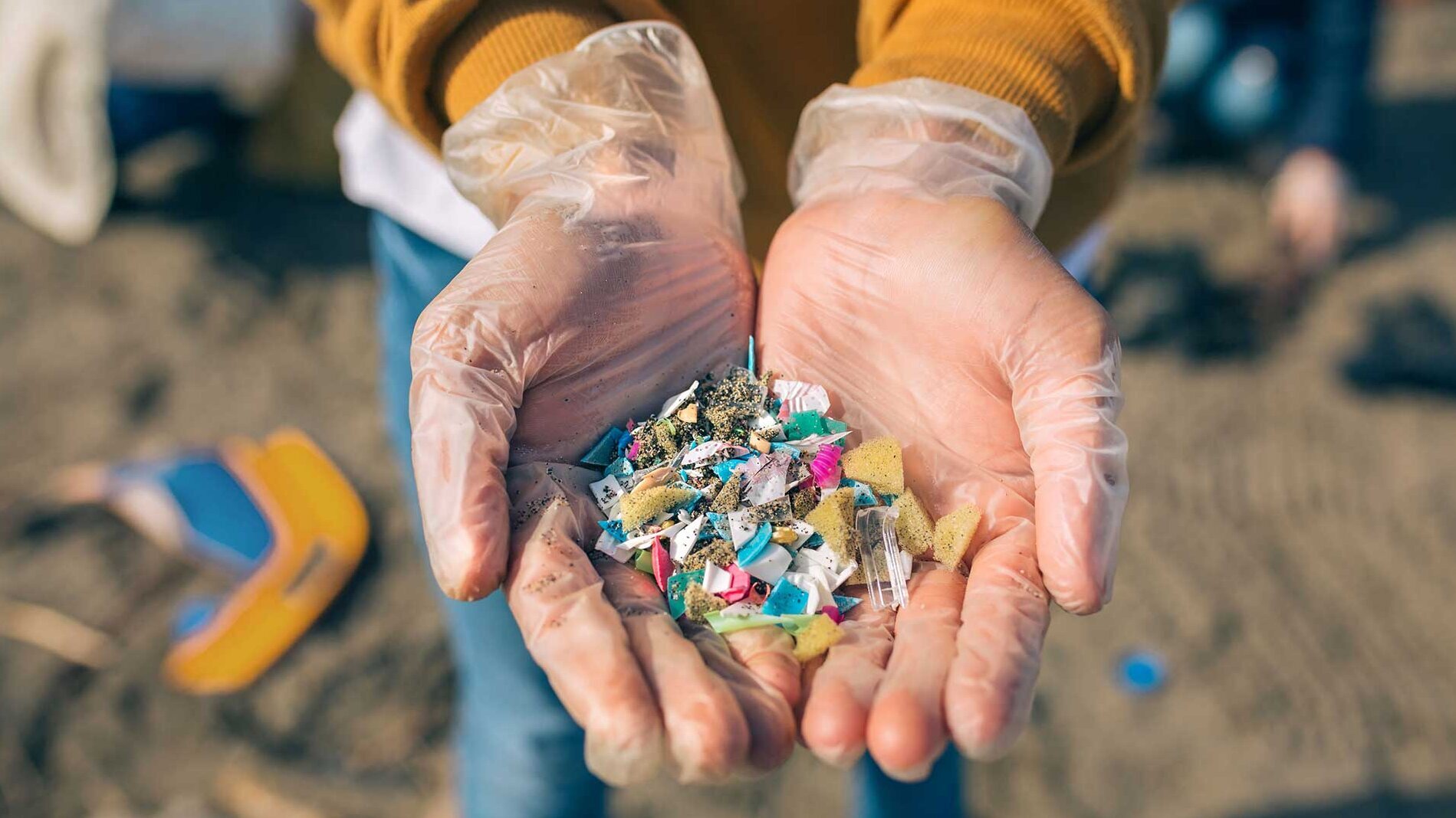 Les microplastiques sont présents pratiquement partout dans la nature – et même dans notre organisme Les microplastiques sont présents pratiquement partout dans la nature – et même dans notre organisme