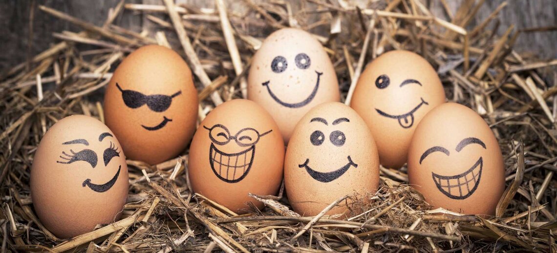 gekochte Frühstückseier strahlen die Gäste an