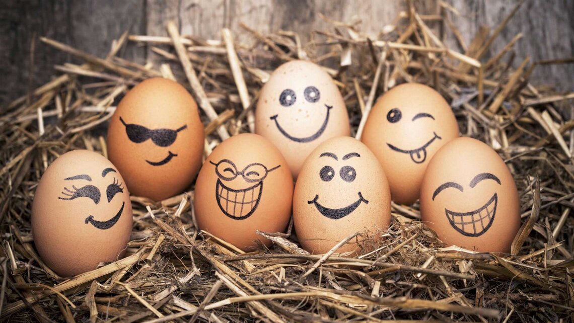gekochte Frühstückseier strahlen die Gäste an