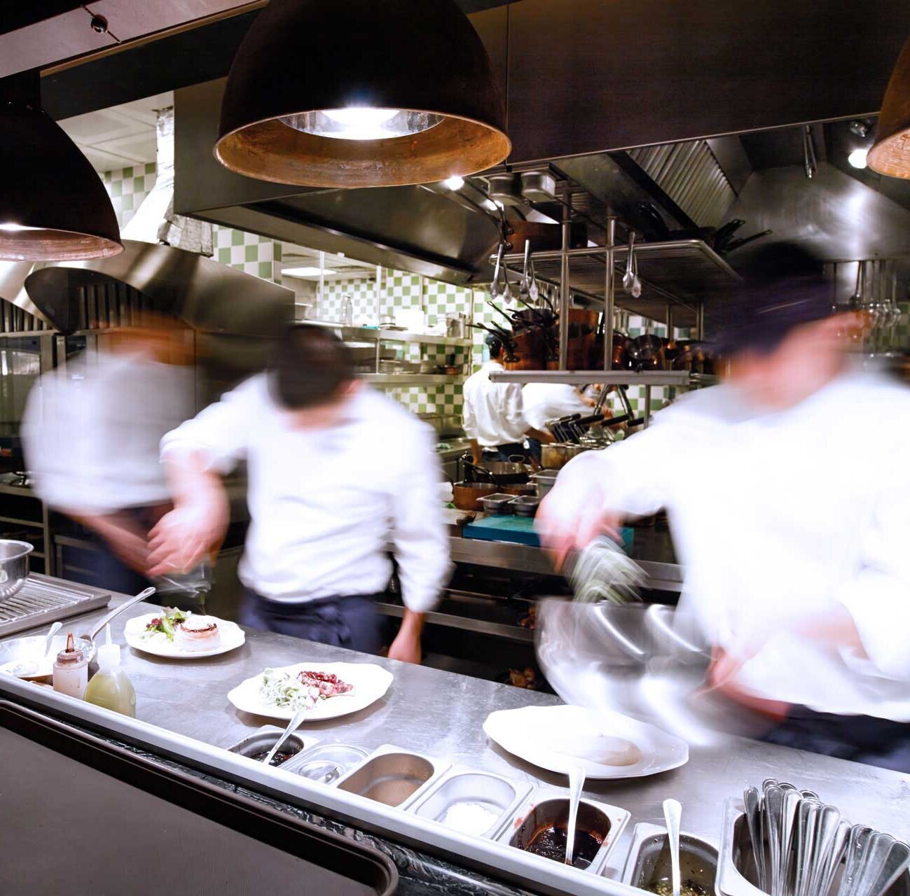 Professional dishwasher, Professional dishwasher,