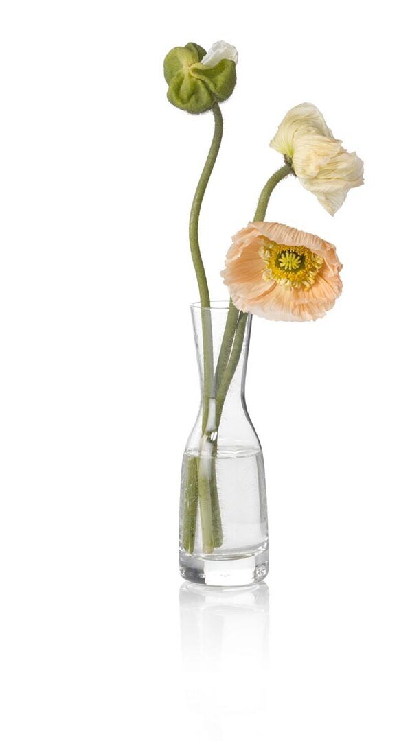flor Flor amarilla