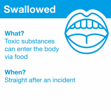 Hazardous substances are absorbed while eating. Hazardous substances are absorbed while eating.