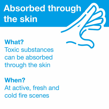 Toxic substances are absorbed through the skin. Toxic substances are absorbed through the skin.