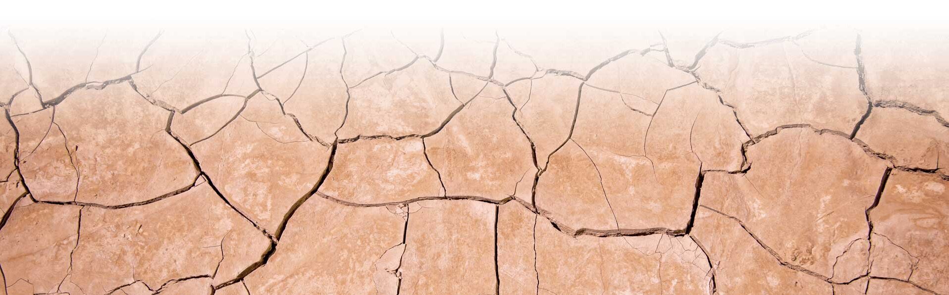 Wasserknappheit Wasserknappheit