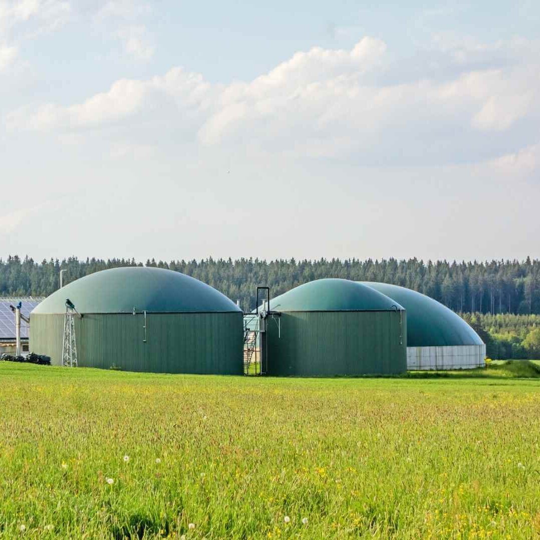 Organic material is decomposed in biogas plants in the absence of oxygen to form biogas and biofertiliser. Organic material is decomposed in biogas plants in the absence of oxygen to form biogas and biofertiliser.
