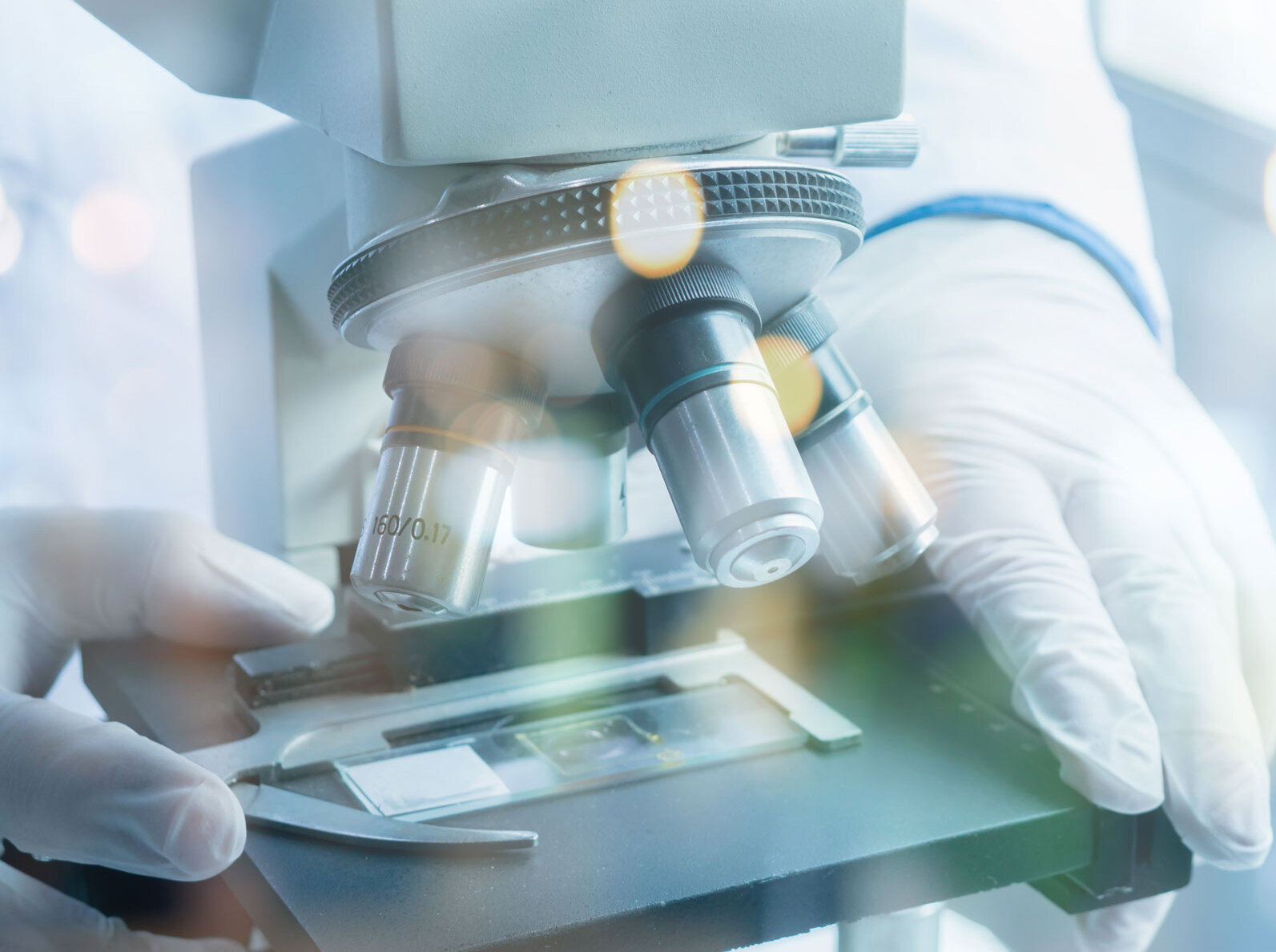 Most microorganisms can only be detected under the microscope Most microorganisms can only be detected under the microscope
