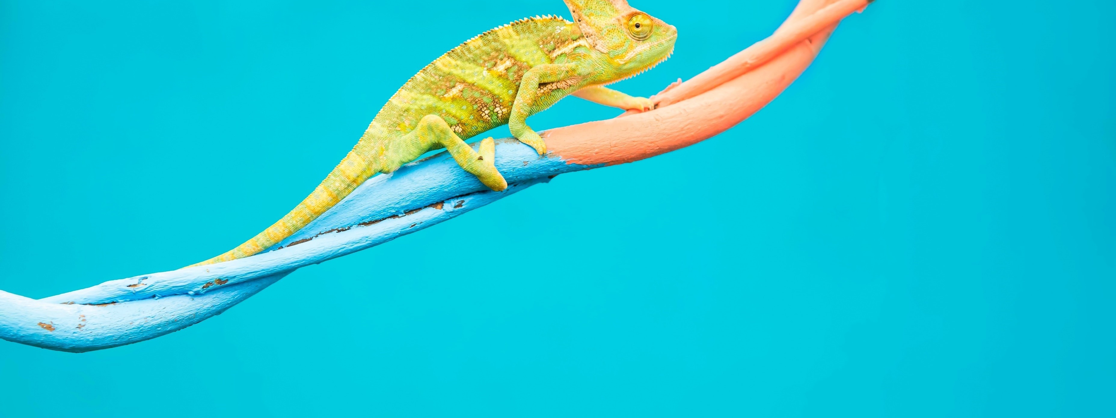 Models and Approaches to Organisational Change